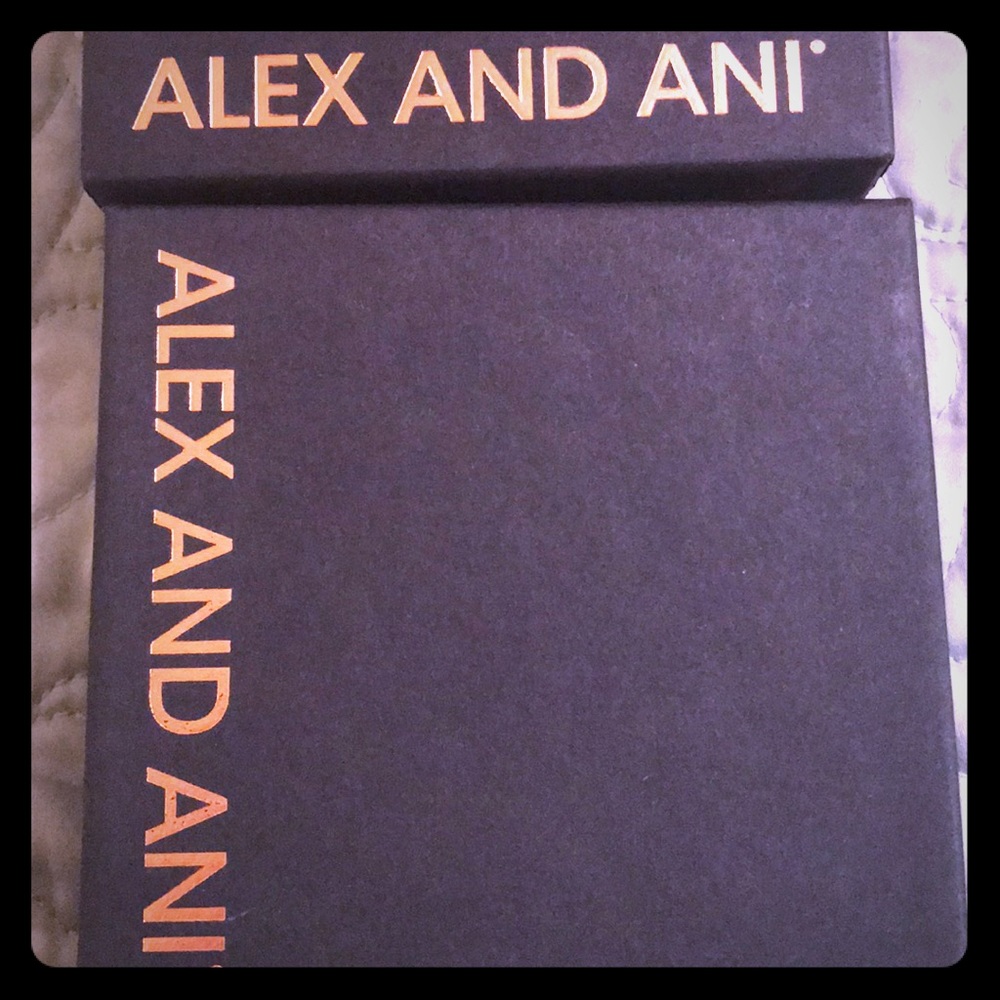 Set of Alex and Ani boxes 📦